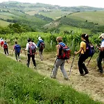 Апарт-отель Borgo Оффида